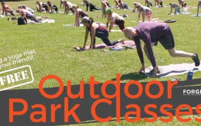 Outdoor Park Yoga Classes have started!