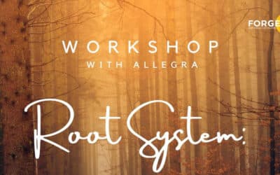 Root System: Shifting from Summer to Fall