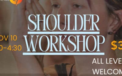 Shoulder Workshop, Nov. 10th