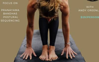 Ashtanga Primary Series, Feb. 9th