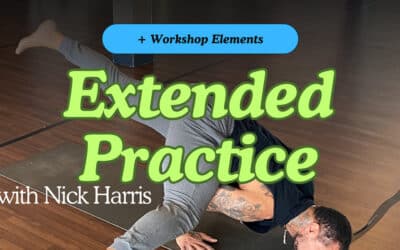 Extended Practice + Workshop Elements – April 19th